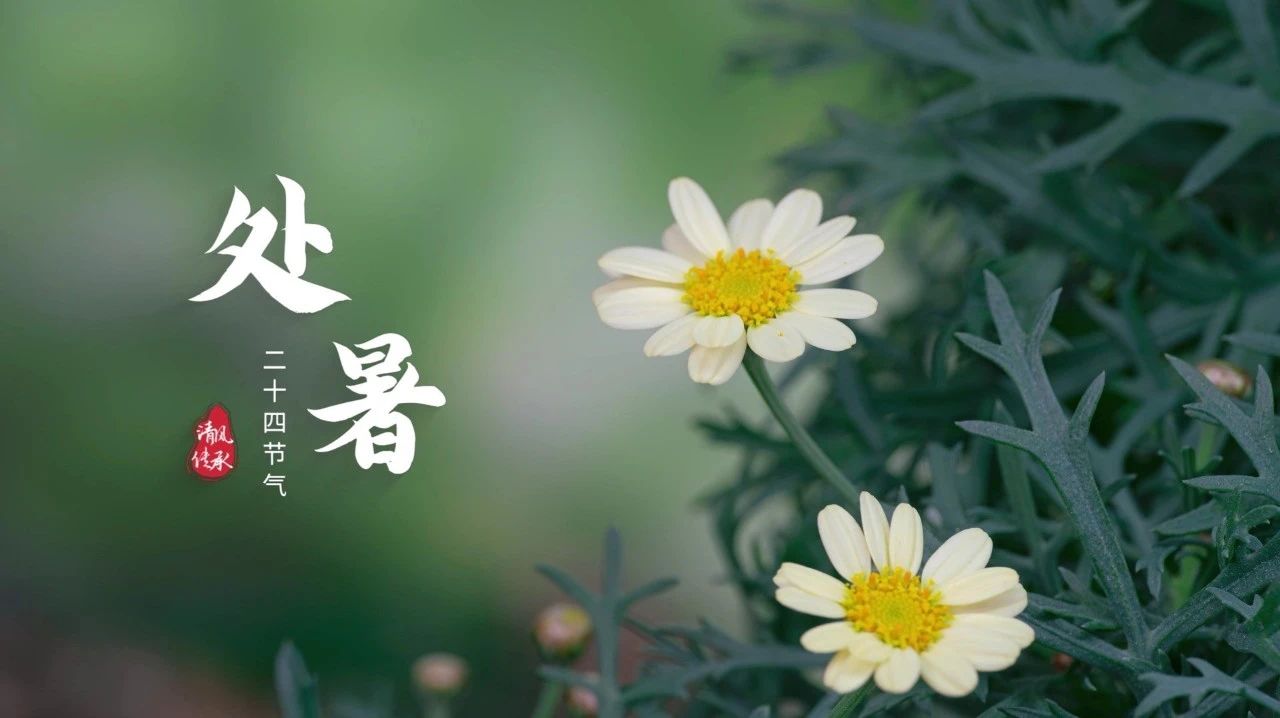 清風·傳承 | 處暑：豐收漸進 家風悠長